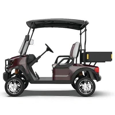 High Power off-Road Golf Cart Calle Legal 2 pasajeros eléctricos Carrito de Golf