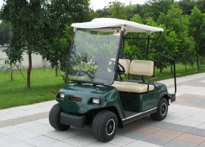 2022 de turismo de golf eléctrico Bus blanco de 2 carros de golf eléctrico del asiento (LT-A2).