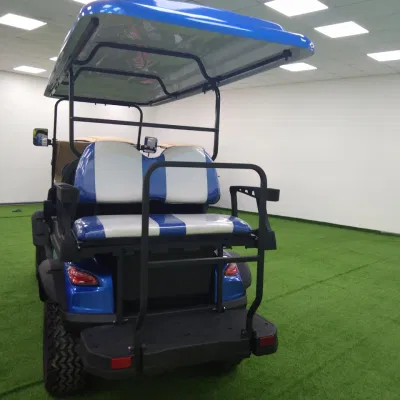Custom 4 6 8 10 plazas baterías de litio plegable Golf Carritos de golf eléctrico