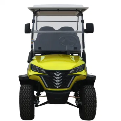 China High Quality Dachi Golf Cart Buggy Forge H4+2 Ventas directas de fábrica