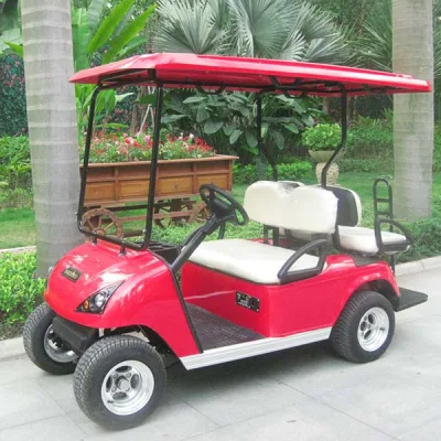 Buen servicio Post-Venta 4 plazas de carros de golf eléctrico (DG-C2+2)