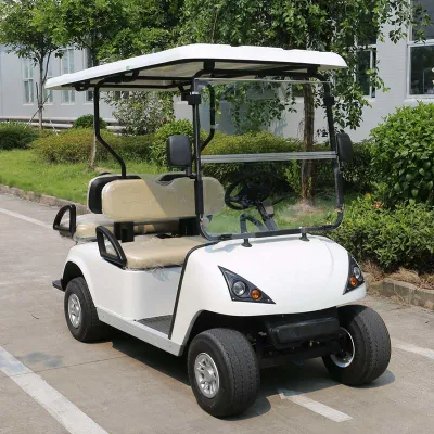 Buen servicio Post-Venta 4 plazas de carros de golf eléctrico (DG-C2+2)