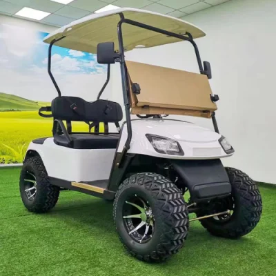 Eléctrico fuera de carretera 48V carrito de golf Buggy