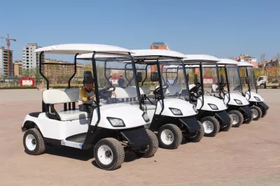 Eléctrico fuera de carretera 48V carrito de golf Buggy