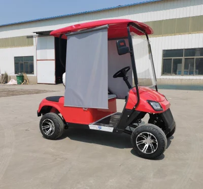 Al por mayor LSV Advanced Sport Golf Cart batería operado Golf Carts