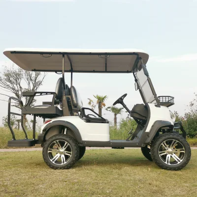 4 navegantes de la carretera 48V batería de litio Carro de Golf eléctrico