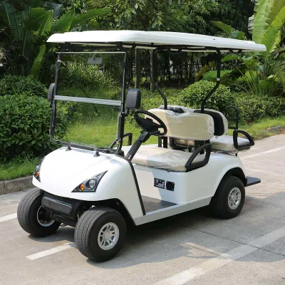 Buen servicio Post-Venta 4 plazas de carros de golf eléctrico (DG-C2+2)