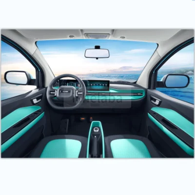 BEV Car High Speed EV BAW Brumby vehículo eléctrico de lujo Mini coche eléctrico al por mayor para adultos