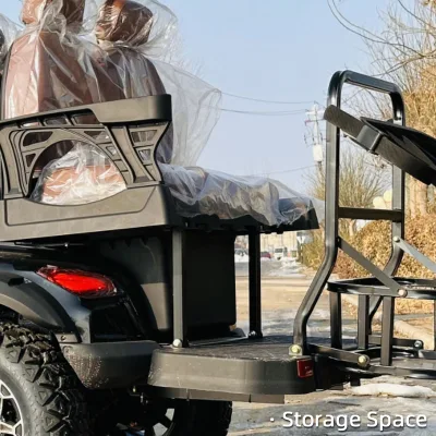 2024 nuevos Buggies deportivos del Golfo motorizado Go Kart Royal EV LSV 30 km/H Speed Street Legal Small Electric Golf Cart