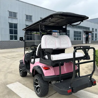 China Fabricación Eléctrica Mini Golf Cart Factory Ventas directas Caza Carro Cartgolf
