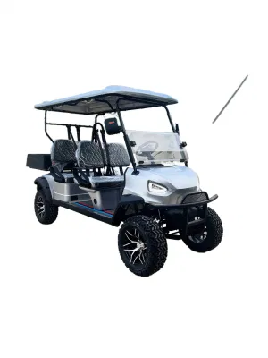 Carro de buggy de golf eléctrico Custom 2 Seat Mini On Road Con panel de control de pantalla grande