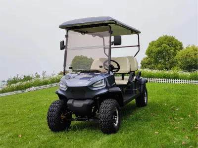 Wintao Custom litio batería eléctrico Golf Cart Mini Golf Buggy