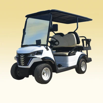 2023 Electric Club off-Road Vehicle DS Outdoor &amp; Tourist Attraction Coche turístico