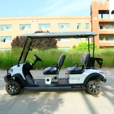 Nueva Popularidad Alto rendimiento 4 asientos de Golf de pasajeros