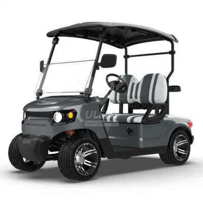 Carrito de golf Ulela MFG 20-30 km/H Max Speed Golf Electric Carrito China 2 asientos personal Golf Cart