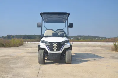 2023 Electric Club off-Road Vehicle DS Outdoor &amp; Tourist Attraction Coche turístico