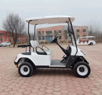 Carrito de Golf clásico de calidad superior con 2 asientos