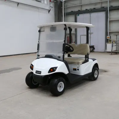 Hongchangda 72V 2/48V plazas Electric Evolution Golf Cart con CE Certificación
