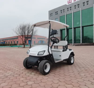 Carrito de Golf clásico de calidad superior con 2 asientos