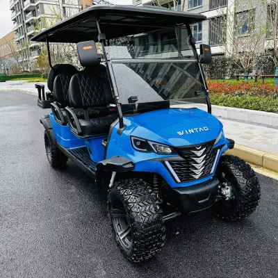 Wintao Golf Carts batería icono de lujo de golf eléctrico carrito eléctrico 6 plazas para Tours