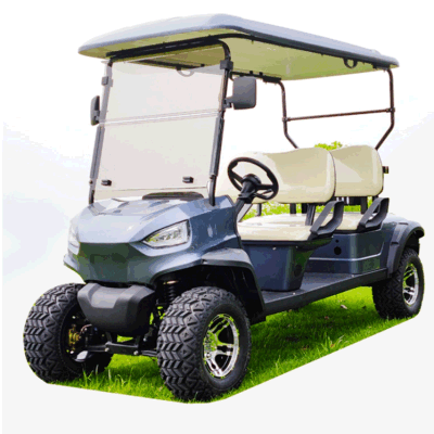 Wintao Custom litio batería eléctrico Golf Cart Mini Golf Buggy