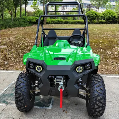 OFF Road Electric UTV todo terreno vehículo Buggy Racing UTV Venta de vehículos utilitarios