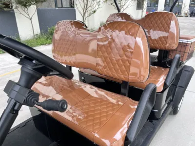 LSV City Tourist Car Street Legal Golf Cart con refrigerador