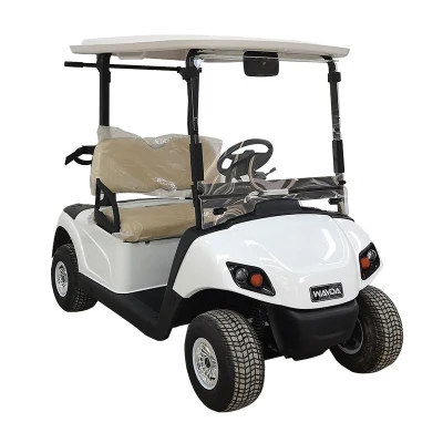 Coche de golf modificado buggy de golf motorizado con el mando a distancia mejor eléctrico Tiro Cart Golf