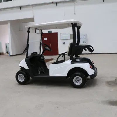 Coche de golf modificado buggy de golf motorizado con el mando a distancia mejor eléctrico Tiro Cart Golf