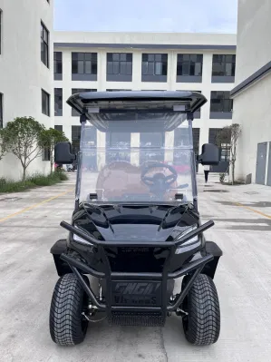 LSV City Tourist Car Street Legal Golf Cart con refrigerador