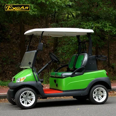 2 Personas nuevo carrito de golf Mini Eléctrico
