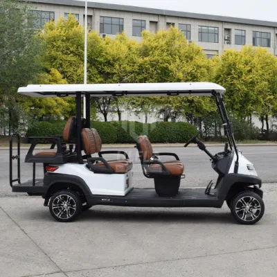 Ulela Custom Golf Cart Fabricantes rueda trasera Drive Golf Cart 6 asientos China 10 asientos E Cart Golf Cart