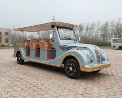 Raysince autobús turístico eléctrico autobús eléctrico Vintage coche con CE Certificado