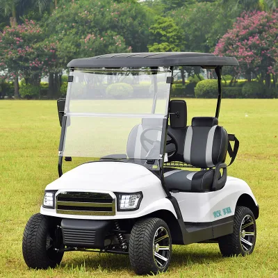 Carrito de Golf más barato/Carts de Golf Star/Cars de Golf/Cart de Golf Electric