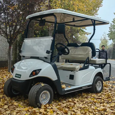Fabricante China High Quality 4 Wheels Electric Golf Cart con Almacenamiento grande