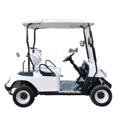 Ulela Golf Cart proveedores 4,5kw/5kw Power Relaxt Golf Buggy China Carrito de golf Evolution de 2 plazas