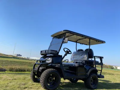 Nice Price Golf Cart Alta calidad de China Factory High Velocidad