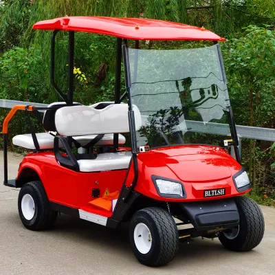 Batería de litio AC Motor helado Golf Cart 4X4 Caza Carrito de Golf Club de coches para Parque de la Granja