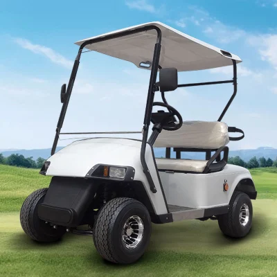 Mini batería de coche eléctrico de 2 plazas de Golf Eléctrico del Motor de 5 Kw de carros de golf con un gran espacio de almacenamiento puede poner una bolsa de golf Trolley