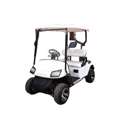 Ulela Golf Cart proveedores 4,5kw/5kw Power Relaxt Golf Buggy China Carrito de golf Evolution de 2 plazas