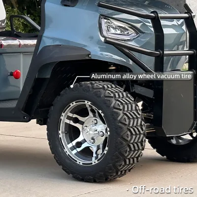 Mayorista Fabricante Color libre personalizado Plata Azul fuera de carretera todos Terreno batería Powered Buggy Best 6 asientos Electric Golf Cart Precio del coche