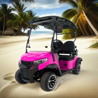 Super Quality Golf Cart 2 asientos Predator G2 Electric Golf Coche