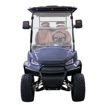 Nueva llegada 6 plazas elevado carrito de golf personalizado de alta calidad Best Street Legal Golf Cart
