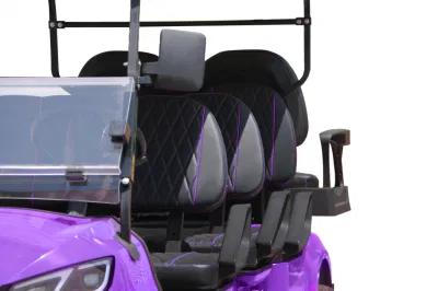 5000W Cochecitos/Golf Dachi Acero Marco 4330*1200*1900 litio Powered Golf Carts