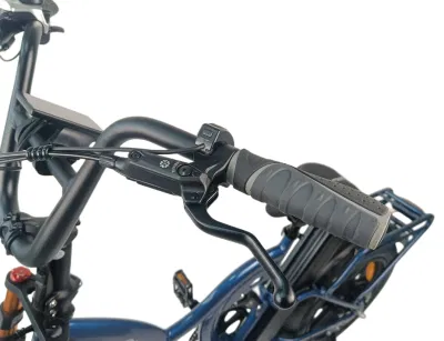 Fabricante de bicicletas E Jinhua personalizada nueva grasa eléctrico del motor del vehículo eléctrico bicicletas