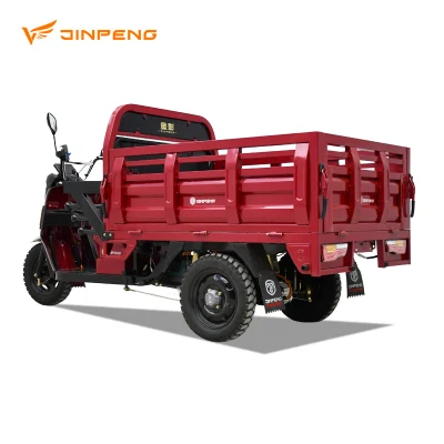 Dls150 PRO China Suministro de Triciclo Eléctrico Nuevos Recursos de Energía Vehículo de Tres Ruedas Cargador Eléctrico de Alta Calidad para Carga Personalización Básica.
