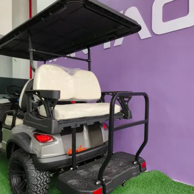 2023 New Design Street Legal Elevado eléctrico 2+2 seater Golf Carro