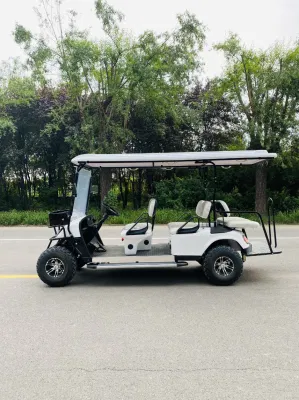 5000W Buggy/Golf Dachi Acero Marco 4330*1200*1900 Lithium Powered Golf Cart