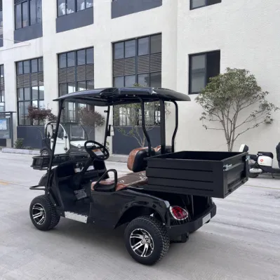 2 asientos Utility Golf Carts Street Legal Golf Electric Cart Con cama cargo