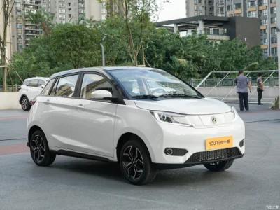 EV House jóvenes 4 asientos 408 km rango EV Coche Mini batería eléctrico coche